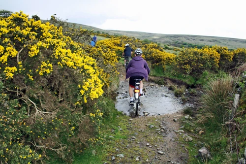Crossing the ford near Lud Gate.