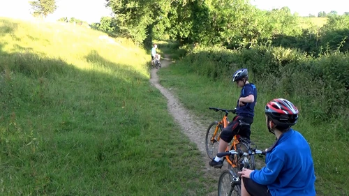 Approaching Cuddyford Cross on the woodland track from Waterleat, Ashburton.