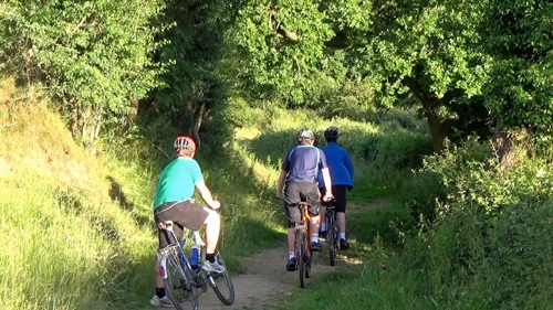 Nearing Cuddyford Cross on the woodland track from Waterleat, Ashburton.