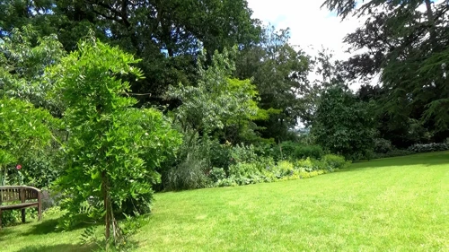 Hill House Nursery gardens, Landscove