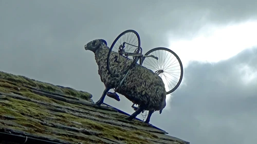 An interesting sight on the Dales Bike Centre roof, Reeth