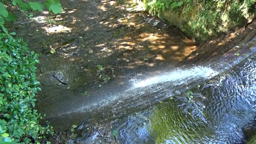 Cod Beck running through Osmotherley Youth Hostel grounds