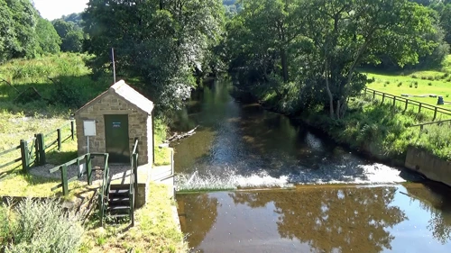 The River Rye from Shaken Bridge, Rye Dale, 11.6 miles in