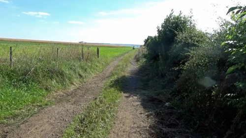 Start of the track to Crabtree Hall and Rievaulx Abbey, 13.2 miles in