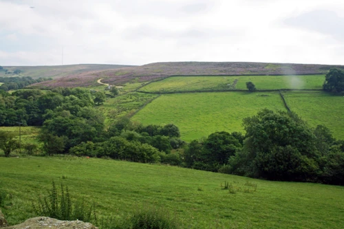 View towards Hawnby Moor from Low Cote Farm