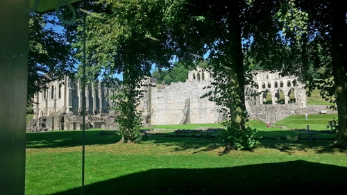Rievaulx Abbey from the café