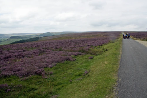 Hartoft Moor.