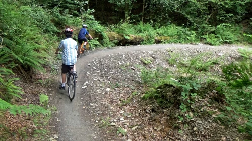 Sampling the Blue Trail beside the Plym Valley cycle path.