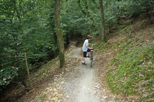 A stretch of the Blue off-road route in the Plym Valley.
