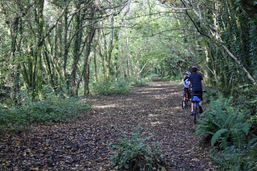30 Oct 2016 · Avon Railway, Loddiswell