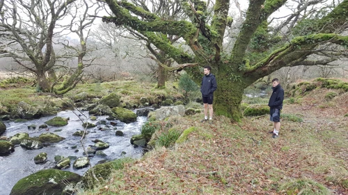 14 Jan 2018 · Week Ford Blowing House