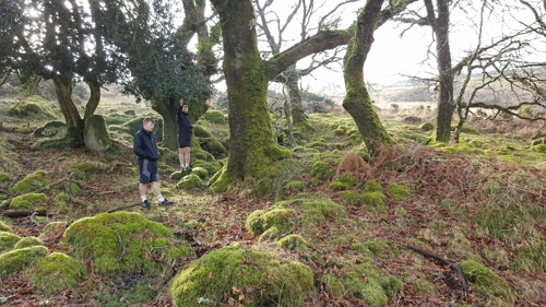 14 Jan 2018 · Week Ford Blowing House