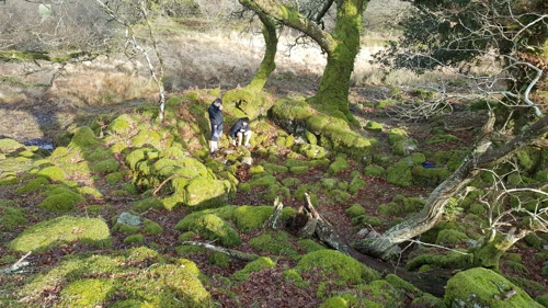 14 Jan 2018 · Week Ford Blowing House