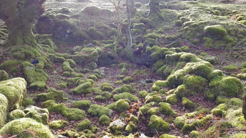 14 Jan 2018 · Week Ford Blowing House