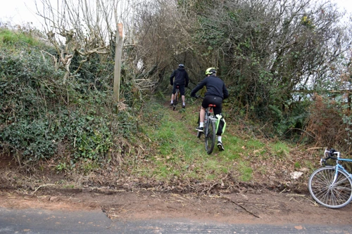 06 Jan 2019 · South Devon Chilli Farm, Loddiswell
