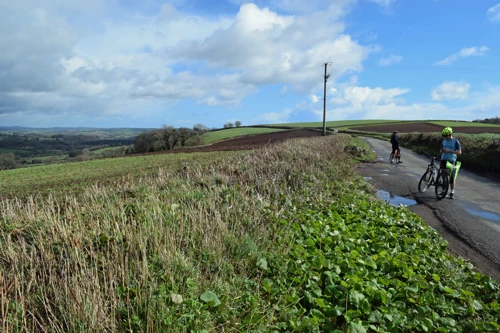 17 Mar 2019 · Harbertonford
