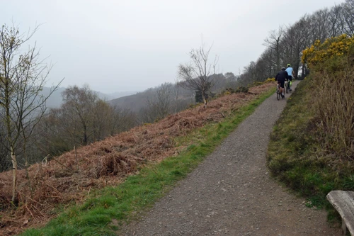 31 Mar 2019 · Fingle Bridge