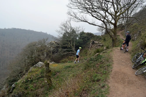 31 Mar 2019 · Fingle Bridge