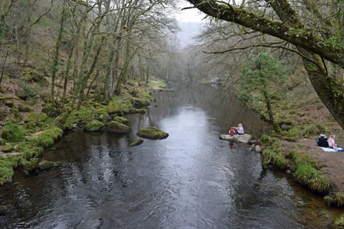 31 Mar 2019 · Fingle Bridge