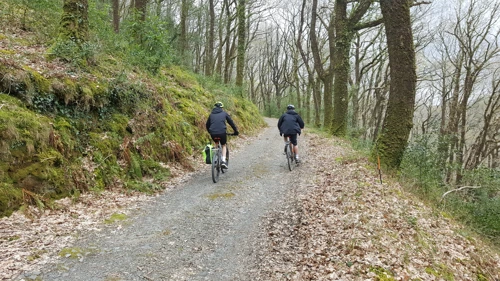 14 Apr 2019 · Holne Woods