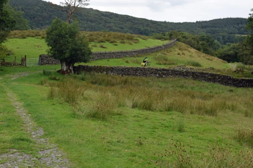 31 Jul 2019 · Lake District: Day 2: Hawkshead to Coniston Holly How YH
