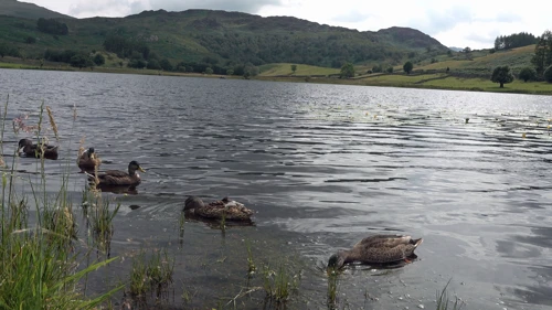 03 Aug 2019 · Lake District: Day 5: Buttermere to Keswick YH