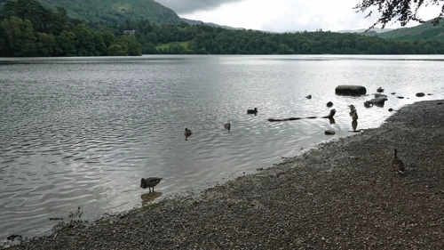 05 Aug 2019 · Lake District: Day 7: Langdale to Home