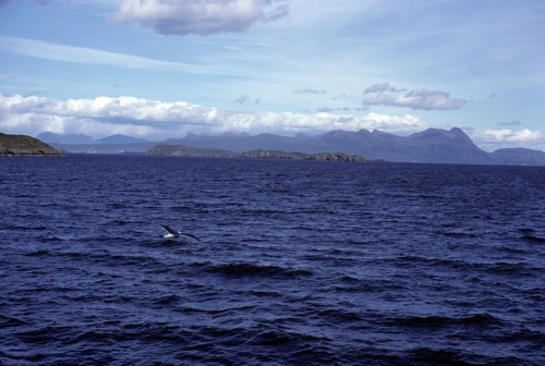 25 Aug 1986 · Scottish Highlands and Islands: Day 8 Stornoway to Ullapool
