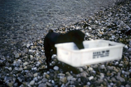 23 Jul 1989 · Beer Youth Hostel: Day 1