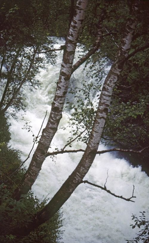 19 Aug 1989 · Norway: Day 4 Voss to Vangsnes
