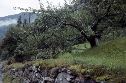 21 Aug 1989 · Norway: Day 6 Sogndal to Skjolden