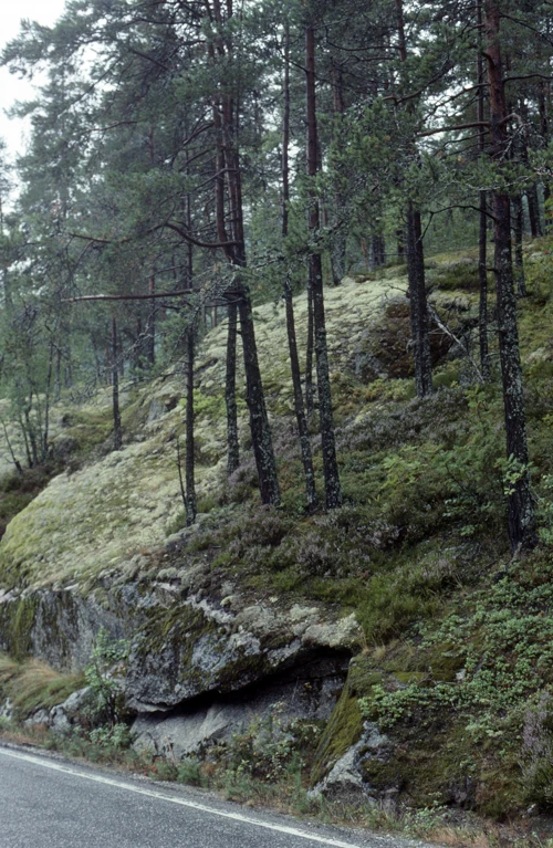 21 Aug 1989 · Norway: Day 6 Sogndal to Skjolden