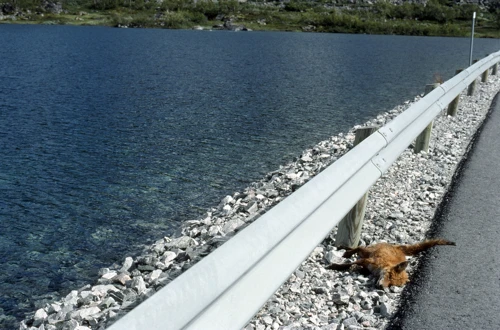 24 Aug 1989 · Norway: Day 9 Skjak to Hellesylt