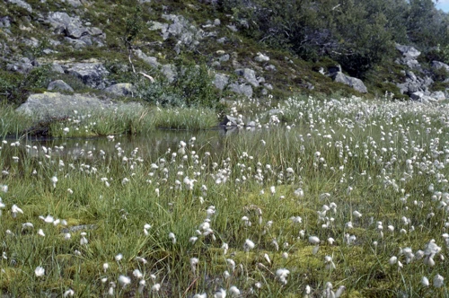 24 Aug 1989 · Norway: Day 9 Skjak to Hellesylt