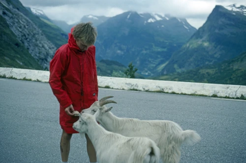 24 Aug 1989 · Norway: Day 9 Skjak to Hellesylt