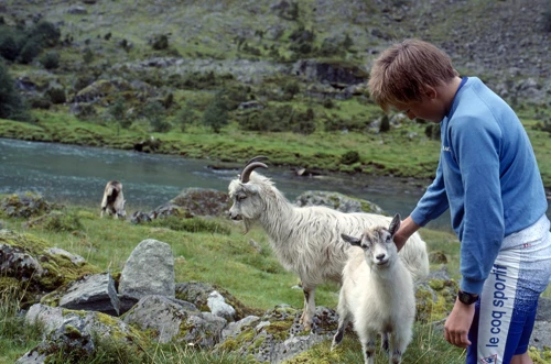 27 Aug 1989 · Norway: Day 12 Byrkjelo to Viksdalen