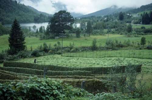 28 Aug 1989 · Norway: Day 13 Viksdalen to Balestrand