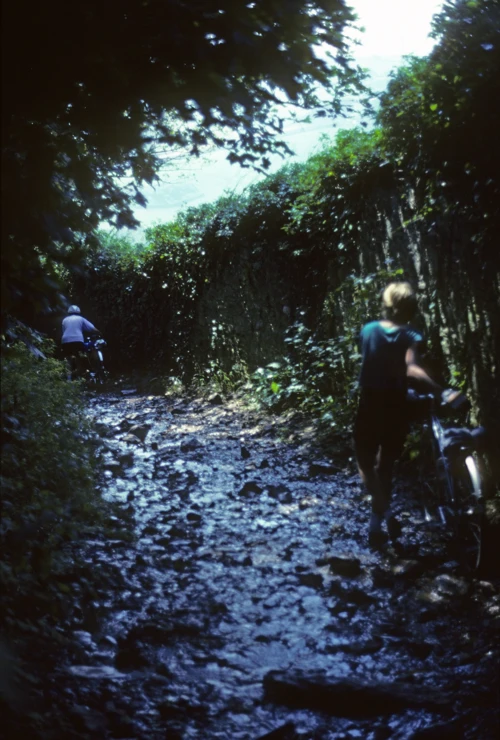Report photo