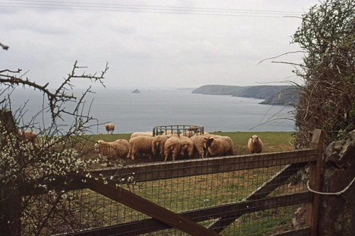 18 Apr 1990 · Cornish Coast: Day 3 Boswinger to Coverack