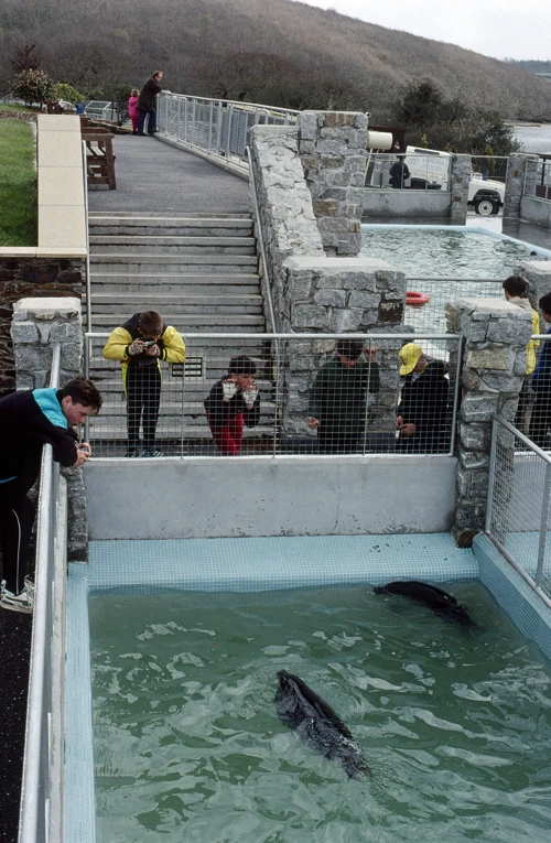 19 Apr 1990 · Cornish Coast: Day 4 Coverack to Land's End