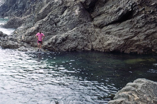 10 Jun 1990 · Elender Cove
