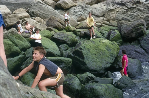 10 Jun 1990 · Elender Cove