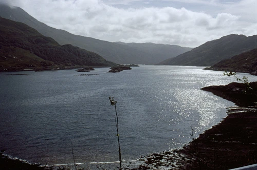 22 Aug 1990 · Scottish Highlands and Islands: Day 3 Glen Nevis to Garramore