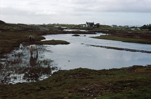 22 Aug 1990 · Scottish Highlands and Islands: Day 3 Glen Nevis to Garramore
