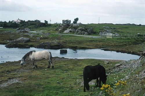 22 Aug 1990 · Scottish Highlands and Islands: Day 3 Glen Nevis to Garramore