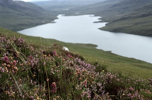 28 Aug 1990 · Scottish Highlands and Islands: Day 9 Ullapool to Achmelvich