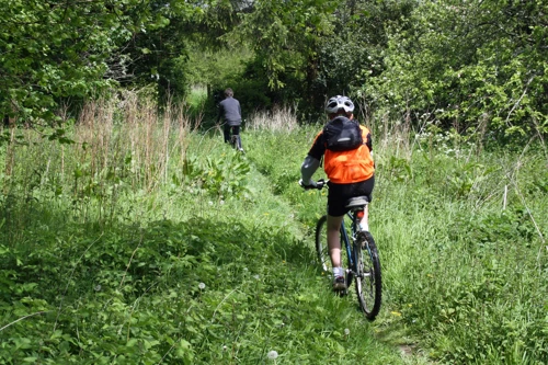 Nearing the road on the Sparkwell footpath