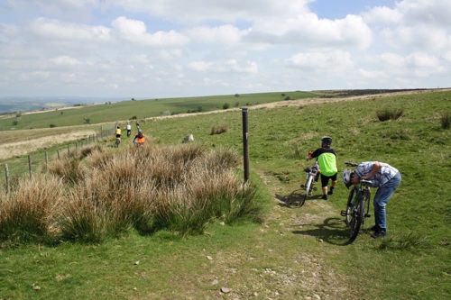 The Abbots Way at Water Oak Corner