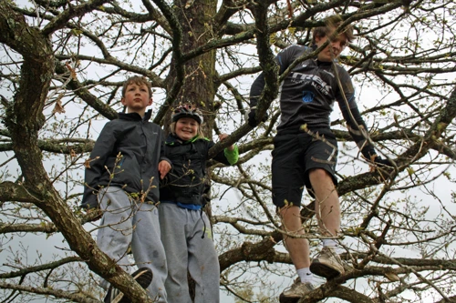 George, Alistair and Ash up a tree at Hembury Fort