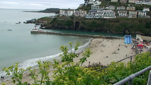 Looe beach and harbour from East Cliff road